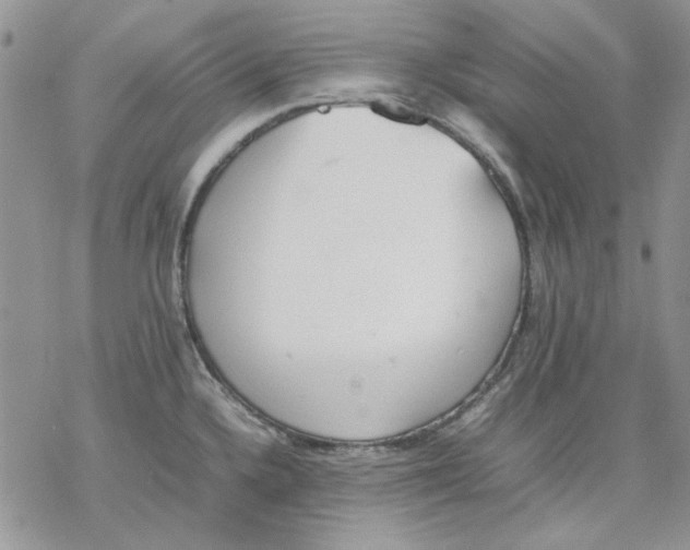 X0000077281336200611171552