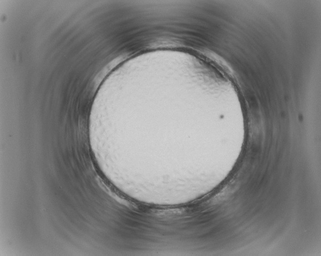 X0000077281337200611171552