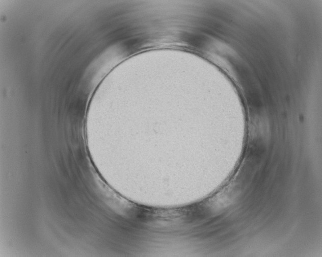 X0000077281338200611171552