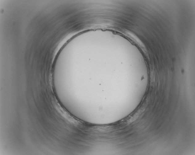 X0000077281340200611171552