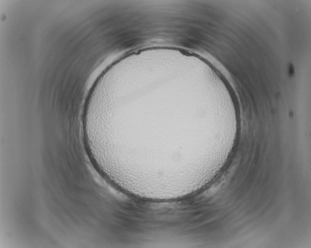 X0000077281341200611171552