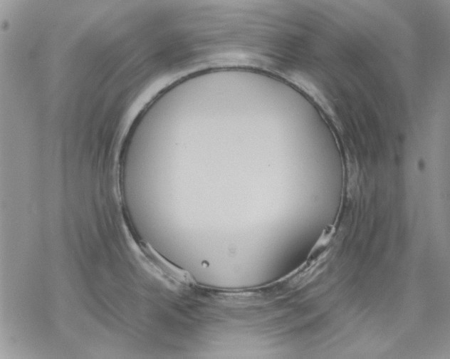 X0000077281342200611171552