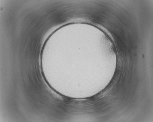 X0000077281343200611171552