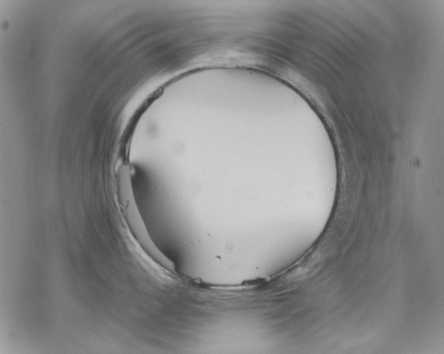 X0000077281344200611171553