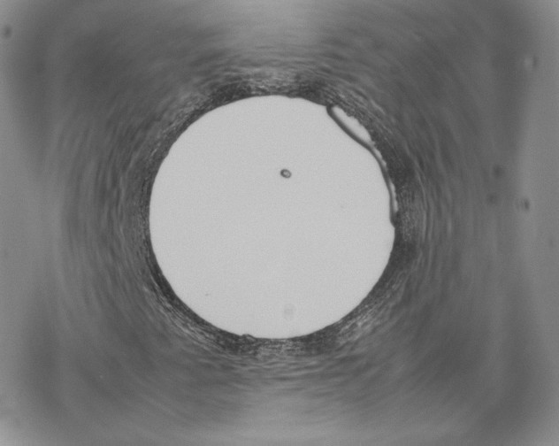 X0000077281345200611171552