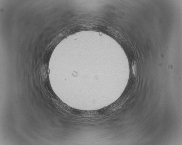 X0000077281347200611171552