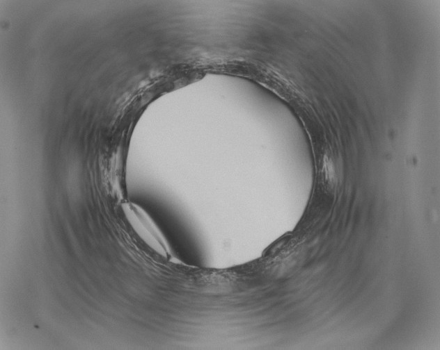 X0000077281348200611171552