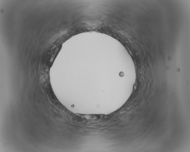 X0000077281349200611171552