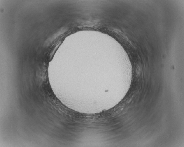 X0000077281350200611171552