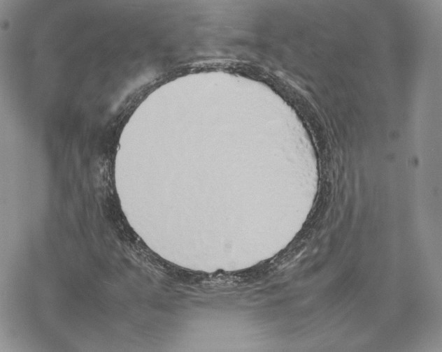 X0000077281351200611171552