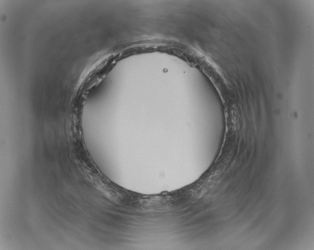 X0000077281352200611171552