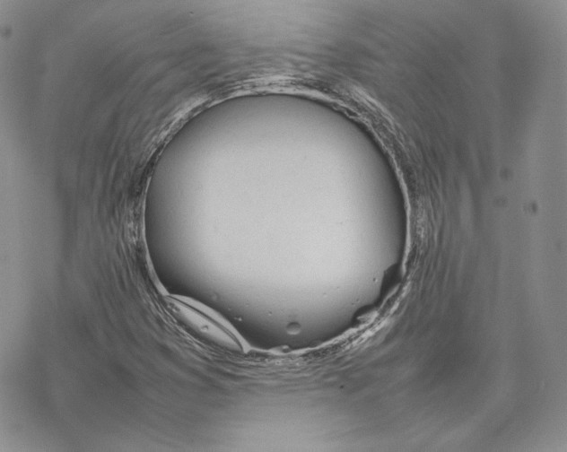 X0000077281353200611171552