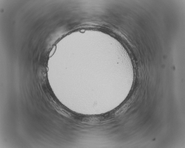 X0000077281355200611171552