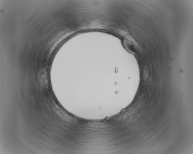 X0000077281356200611171552