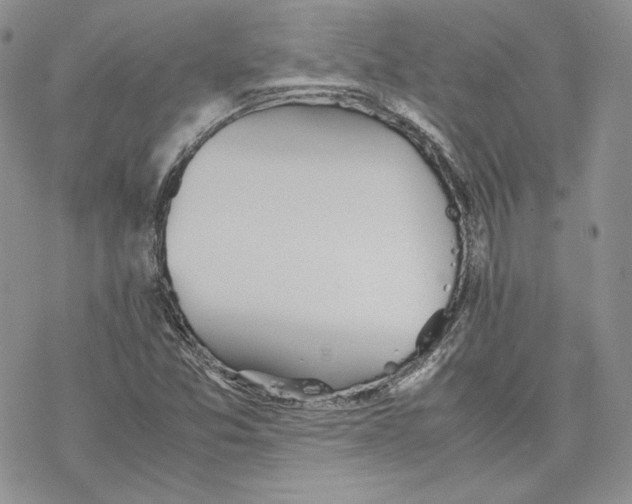 X0000077281357200611171552