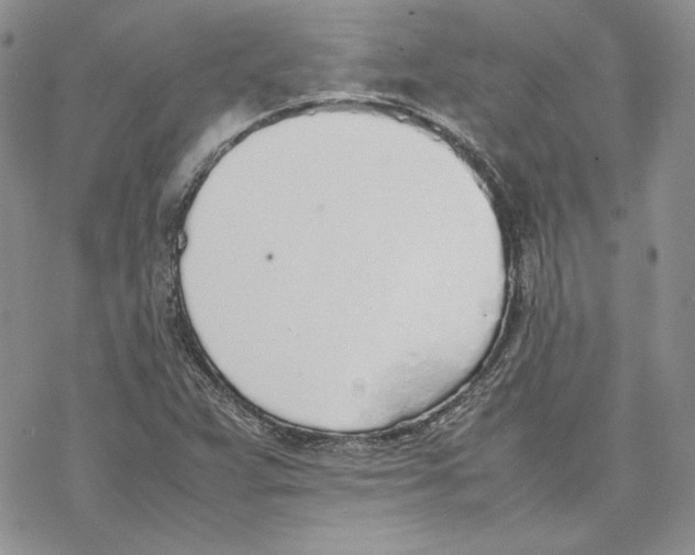 X0000077281359200611171552