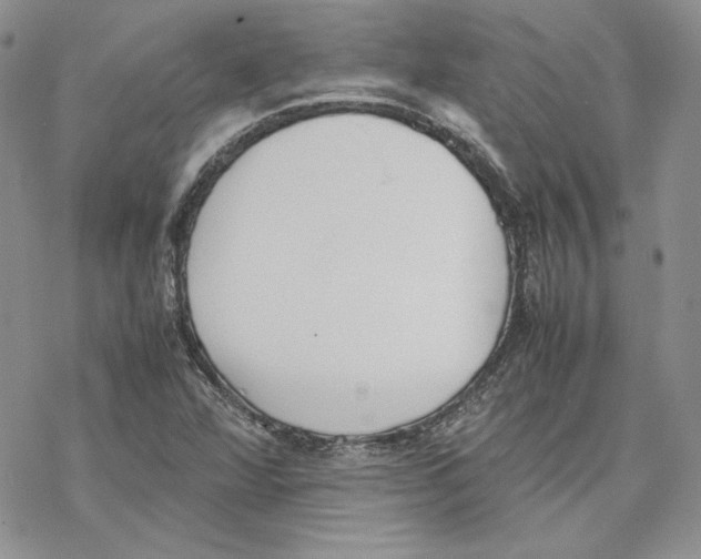 X0000077281360200611171551