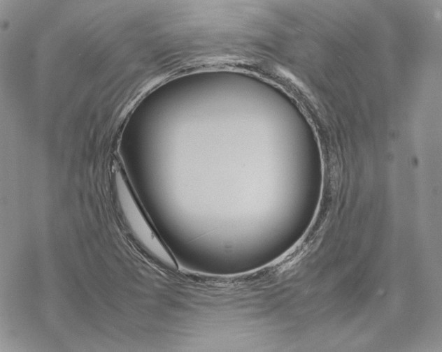 X0000077281361200611171551