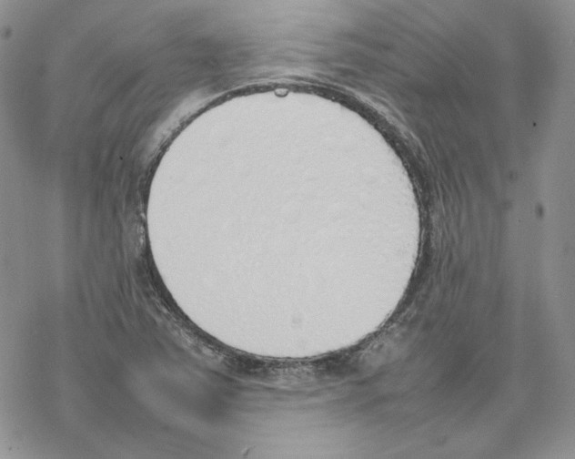 X0000077281363200611171551