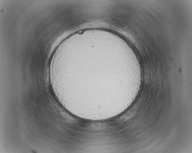 X0000077281366200611171551