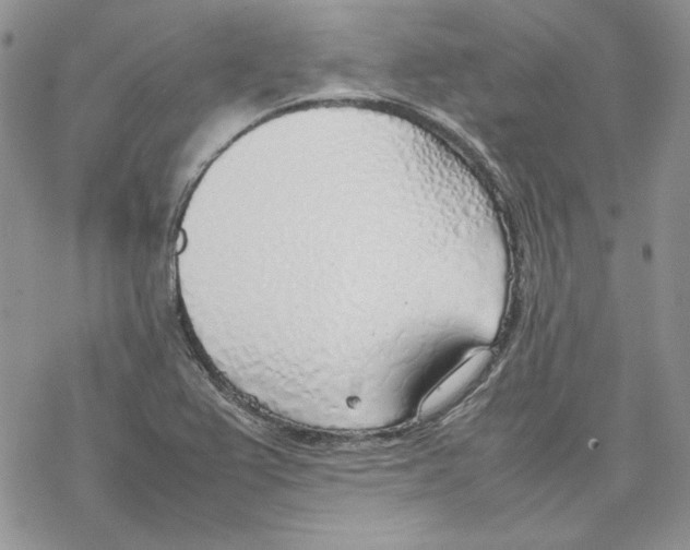 X0000077281367200611171551