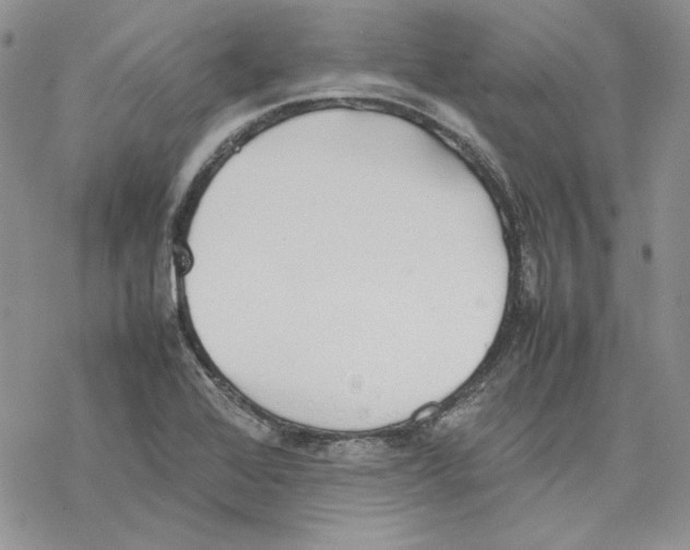 X0000077281368200611171551