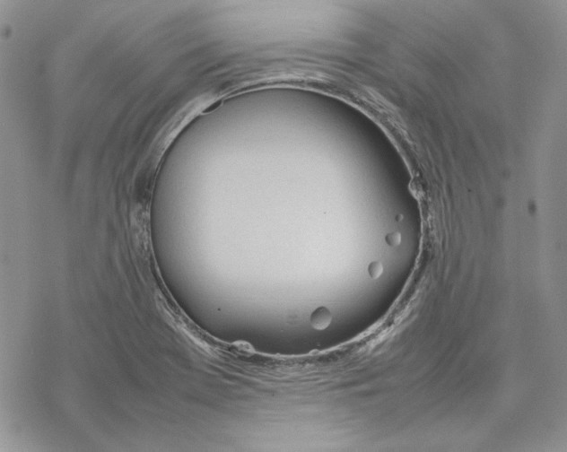 X0000077281369200611171551