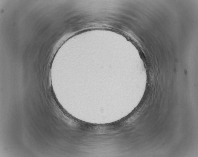 X0000077281371200611171551