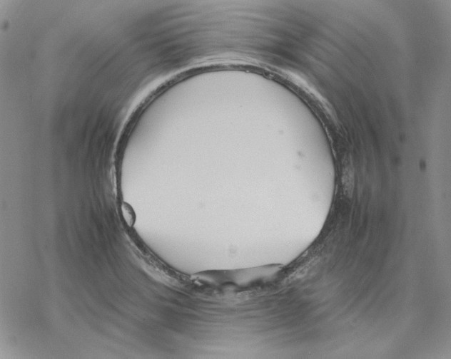 X0000077281372200611171551