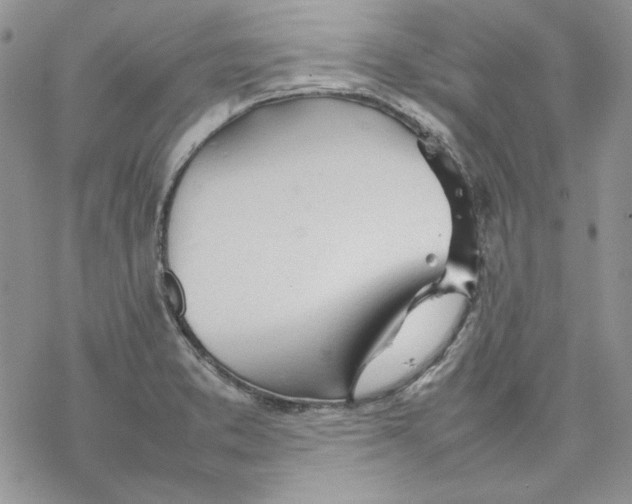 X0000077281373200611171551