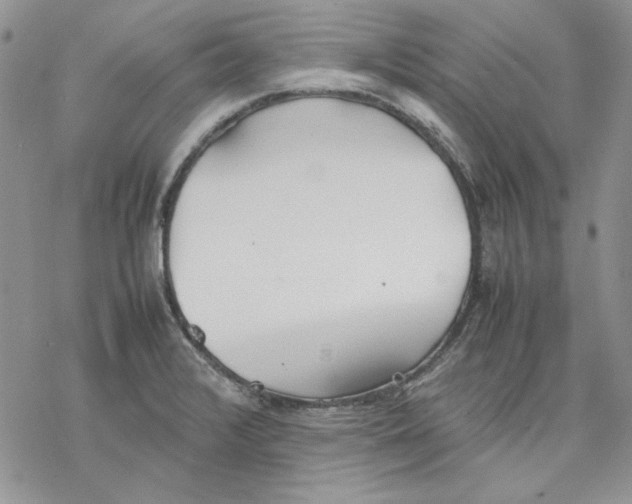 X0000077281376200611171551