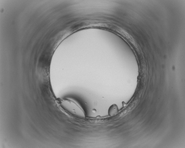 X0000077281377200611171551