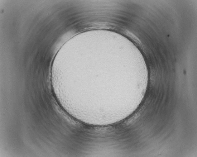 X0000077281378200611171551