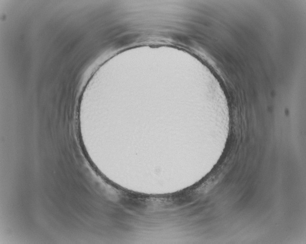 X0000077281379200611171551