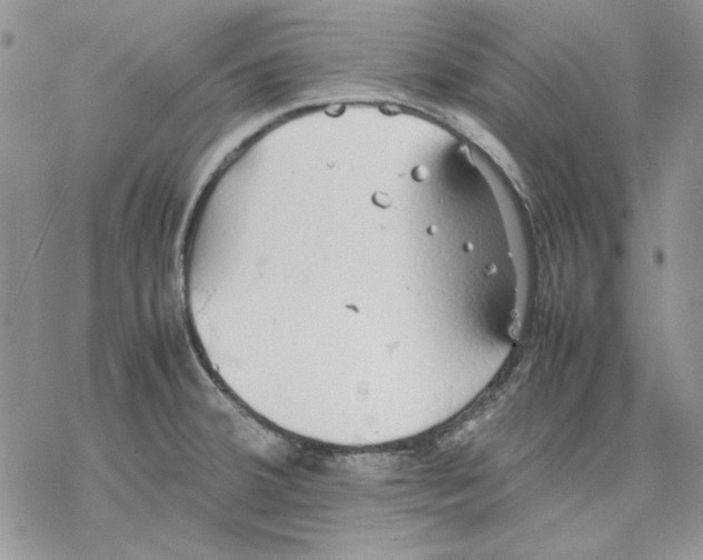 X0000077281380200611171551