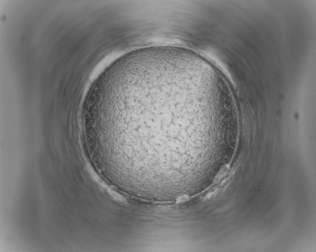 X0000077281381200611171551