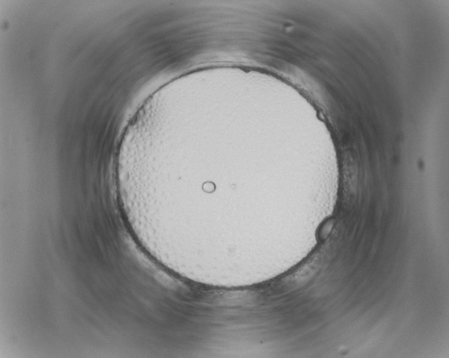 X0000077281382200611171551