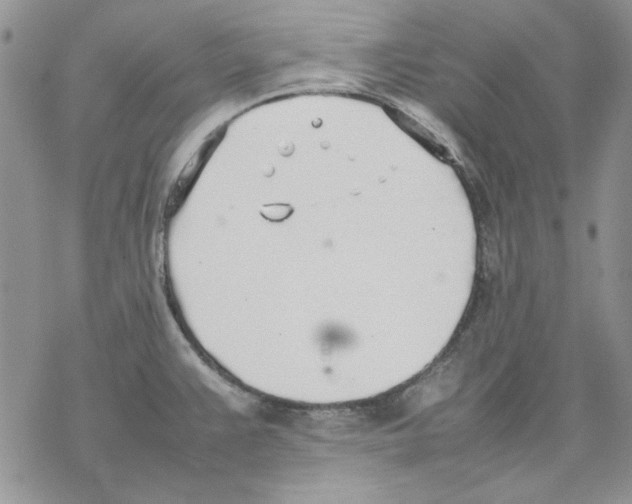 X0000077281383200611171551