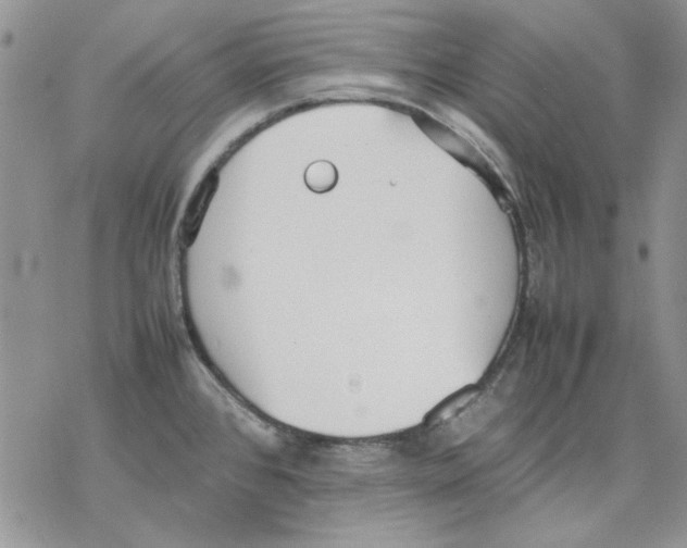 X0000077281384200611171551