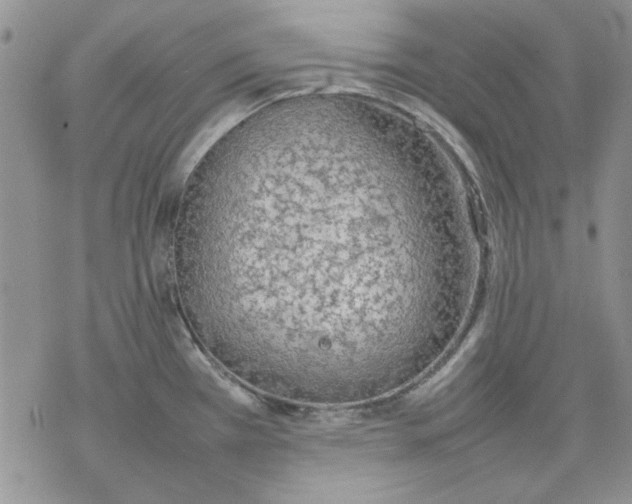 X0000077281385200611171551