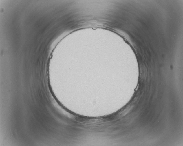 X0000077281387200611171551