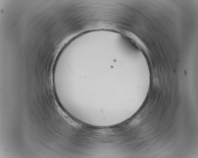 X0000077281388200611171551