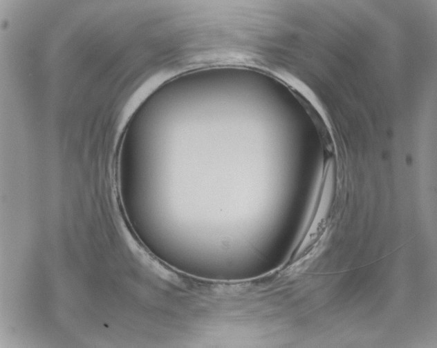 X0000077281389200611171551