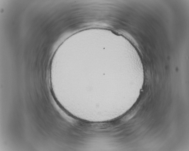 X0000077281391200611171551