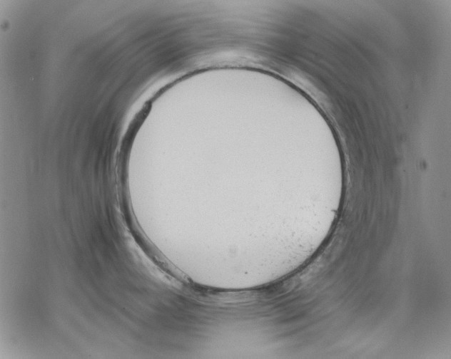 X0000077281392200611171551