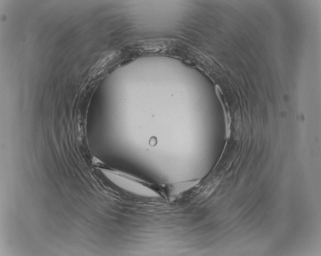 X0000077281394200611171550