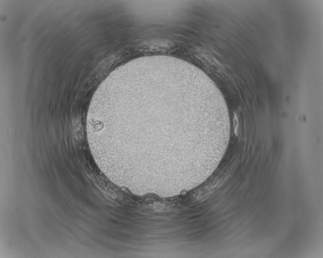 X0000077281395200611171550