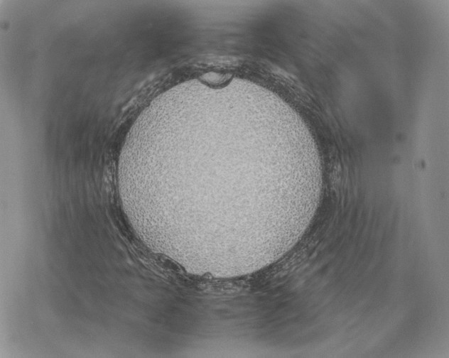 X0000077281397200611171550