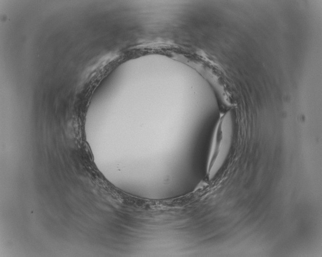 X0000077281398200611171550