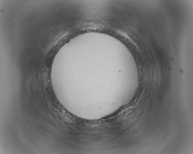 X0000077281399200611171550